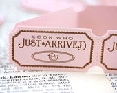 Handmade Pastel Pink Carnival Tickets - Just Arrived - Baby - Set of 18