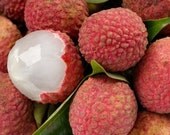Litchi (Lychee) Jelly