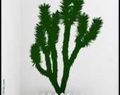 JOSHUA TREE DECAL : Joshua Tree, cactus-tree, with blossom. Desert flora, kid, nursery, playroom