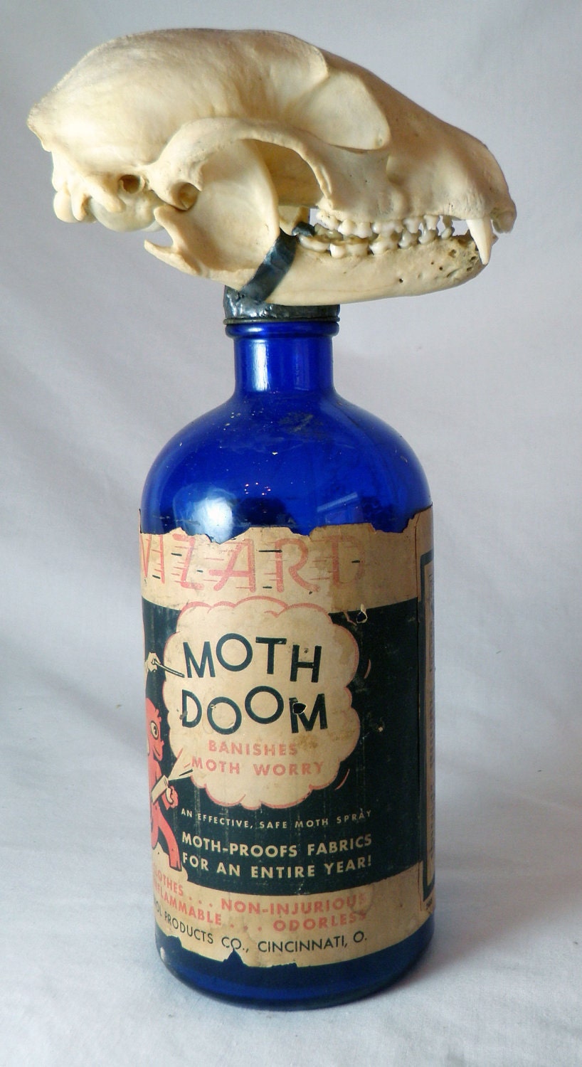 Vintage Moth Doom Blue Bottle with Skull soldered on top
