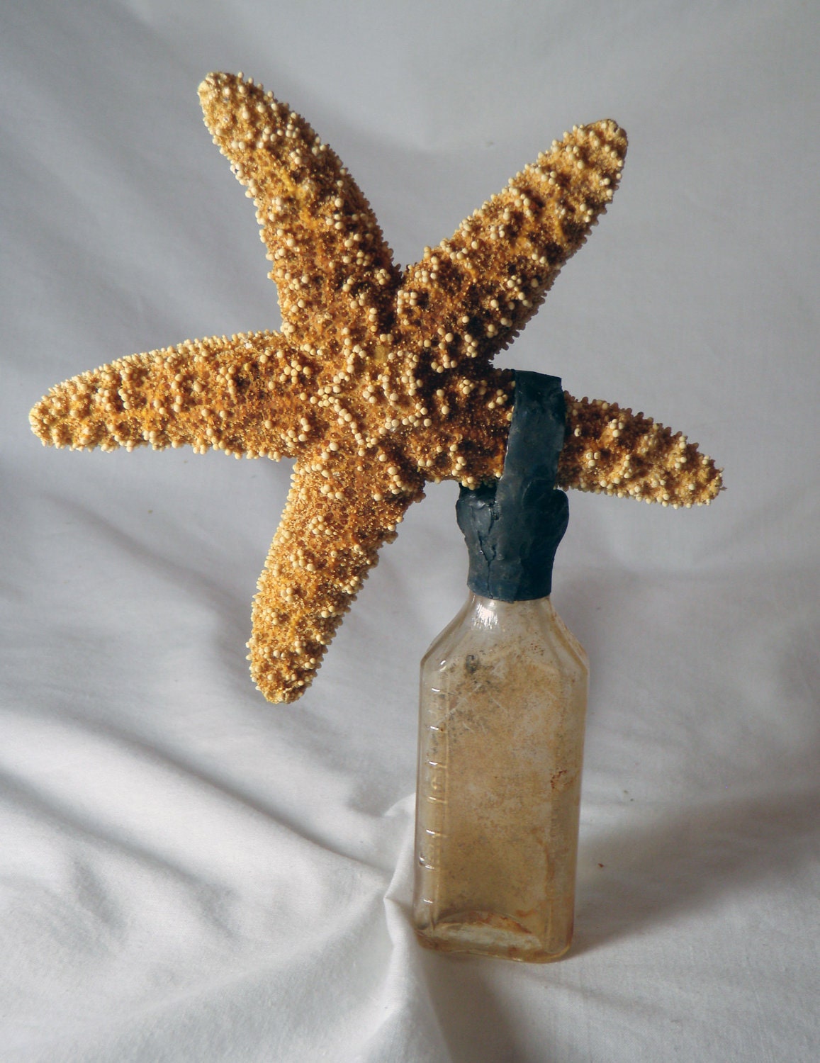 Dancing Starfish on rusted vintage bottle