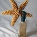 Dancing Starfish on rusted vintage bottle
