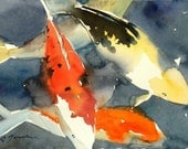 Koi Fish No.6, limited edition of 50 fine art giclee prints