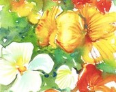 Fresh Pick No.360, limited edition of 50 fine art giclee prints
