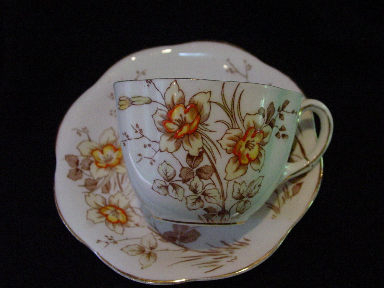 Tea Cup and Saucer Daffodil Narcissus Yellow Flowers - Taylor & Kent