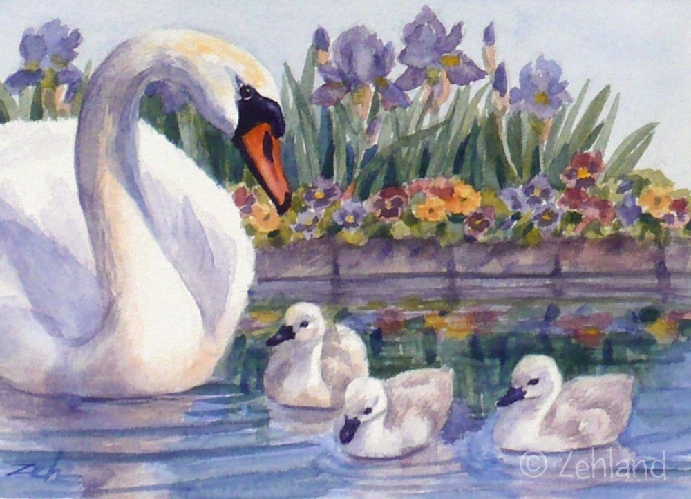 Swans Print Baby Nursery and Childrens Art by Janet Zeh 5x7