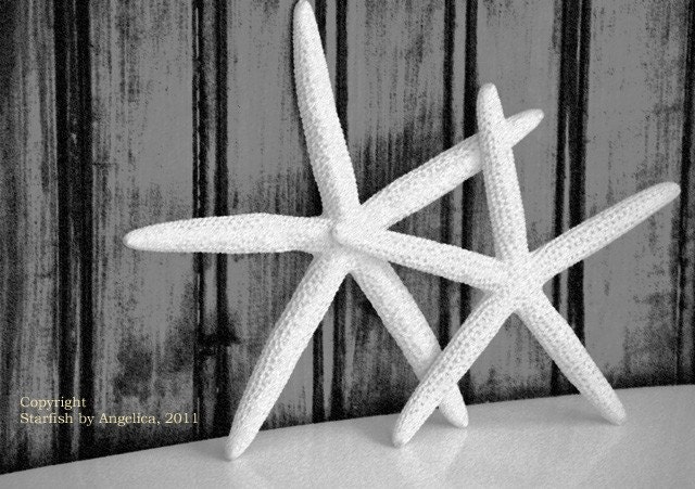 5x7 Starfish Charcoal Effect Art Photography Nautical Beach Print by Angelica