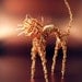 Halloween Copper Wire Cat