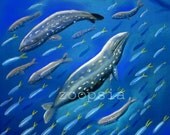 Whale Card