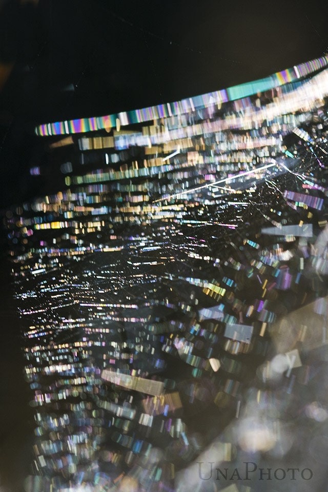 Spider Web Rainbow - 8x10 Fine Art Photograph