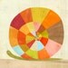 Colorful Snail Print