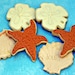 Beach Cookies, Beach Wedding Cookies, Beach Wedding Favors, Seashell Cookies, Sand Dollar Cookies, Starfish Cookies, Beach Cookies