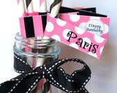 Pink Poodle in Paris Party Paper Straws and Straw Flags