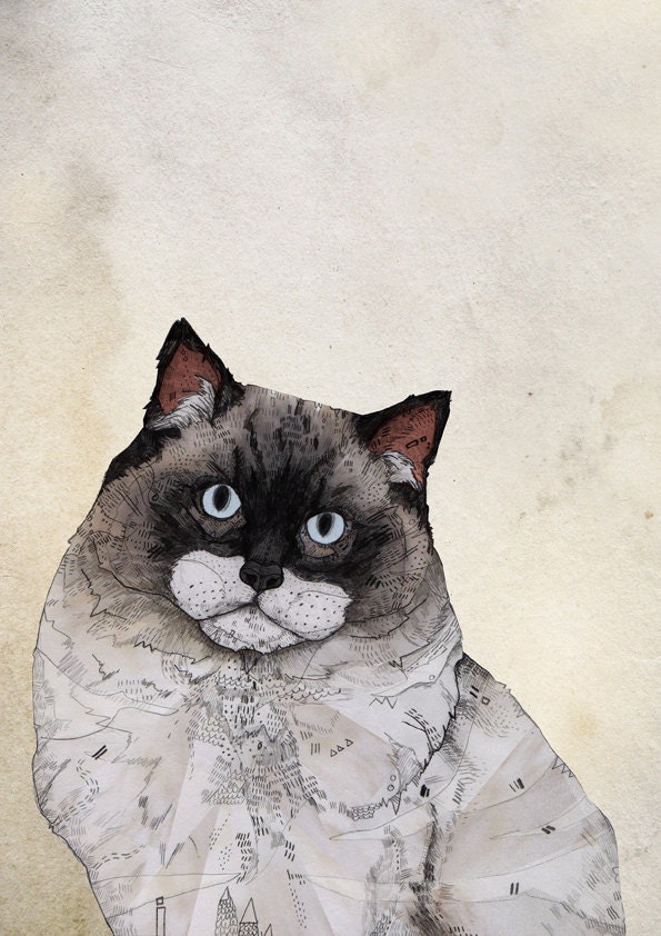 Ragdoll Cat // A5 Print 5x8