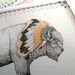 White Bison // A4 print