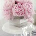 White Block Typography Acrylic Table Numbers 1-15
