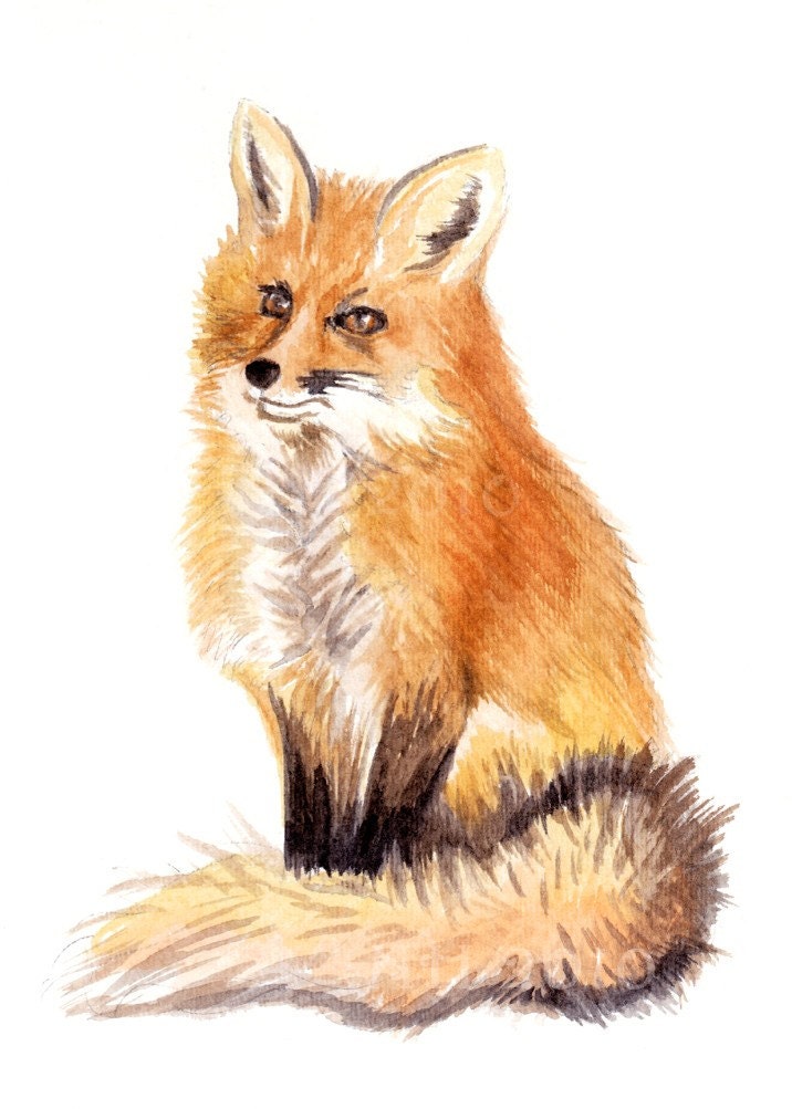 Items similar to Sitting Red Fox Watercolor on Etsy