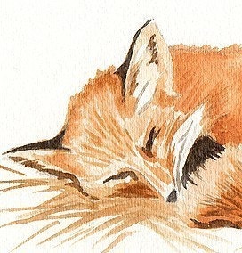 Red Fox Watercolor Painting Fine Art Print