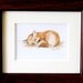 Red Fox Watercolor Painting Fine Art Print
