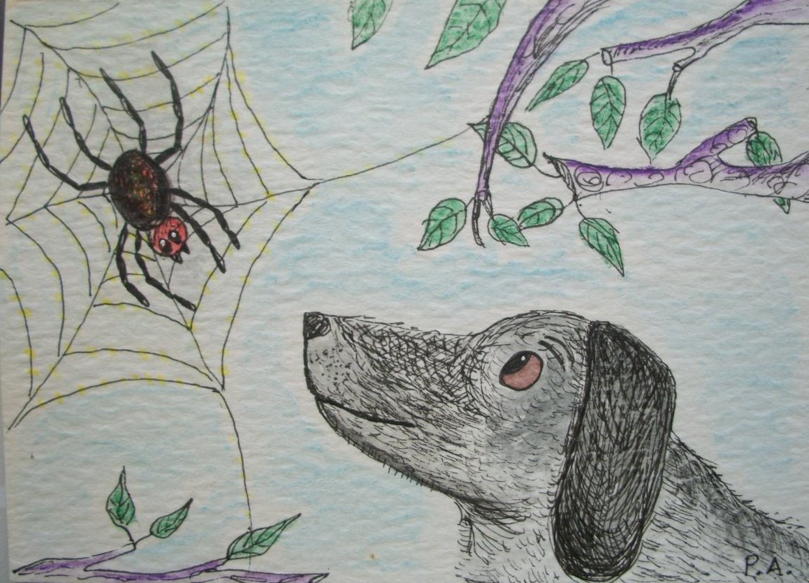 Dachshund and Spider ACEO - Morning Visitor Ink Drawing