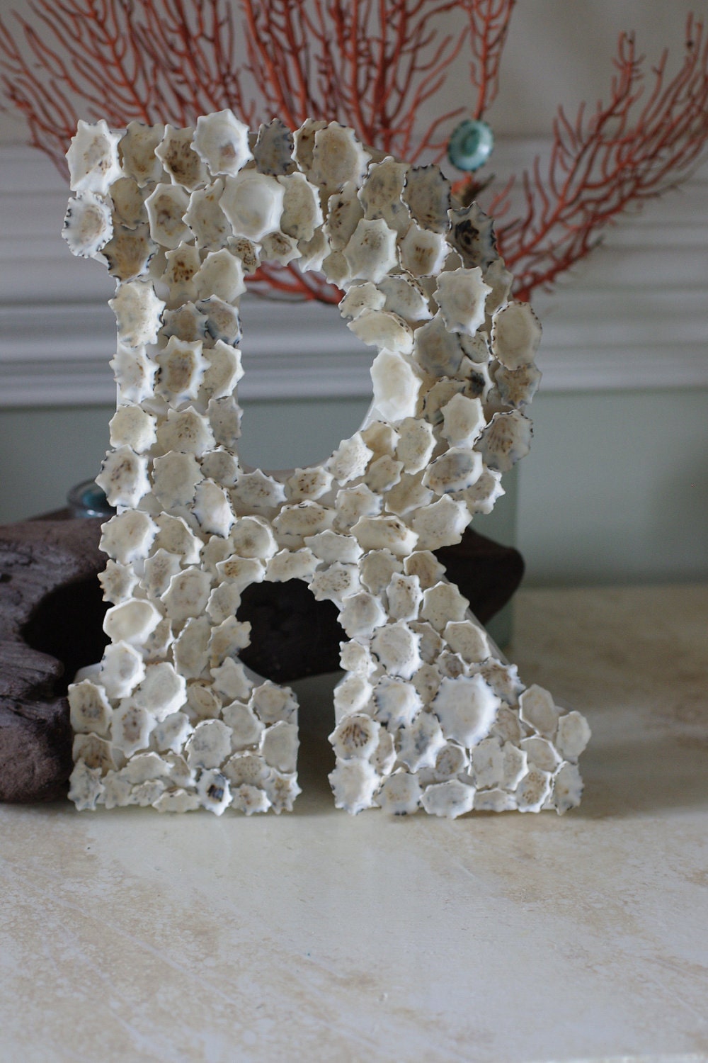 Beach Cottage Seashell Decor White Star Limpet Shell Letter/Initial