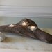 Beach Decor Three Votive Driftwood Candle Holder with Aqua Limpet Shells