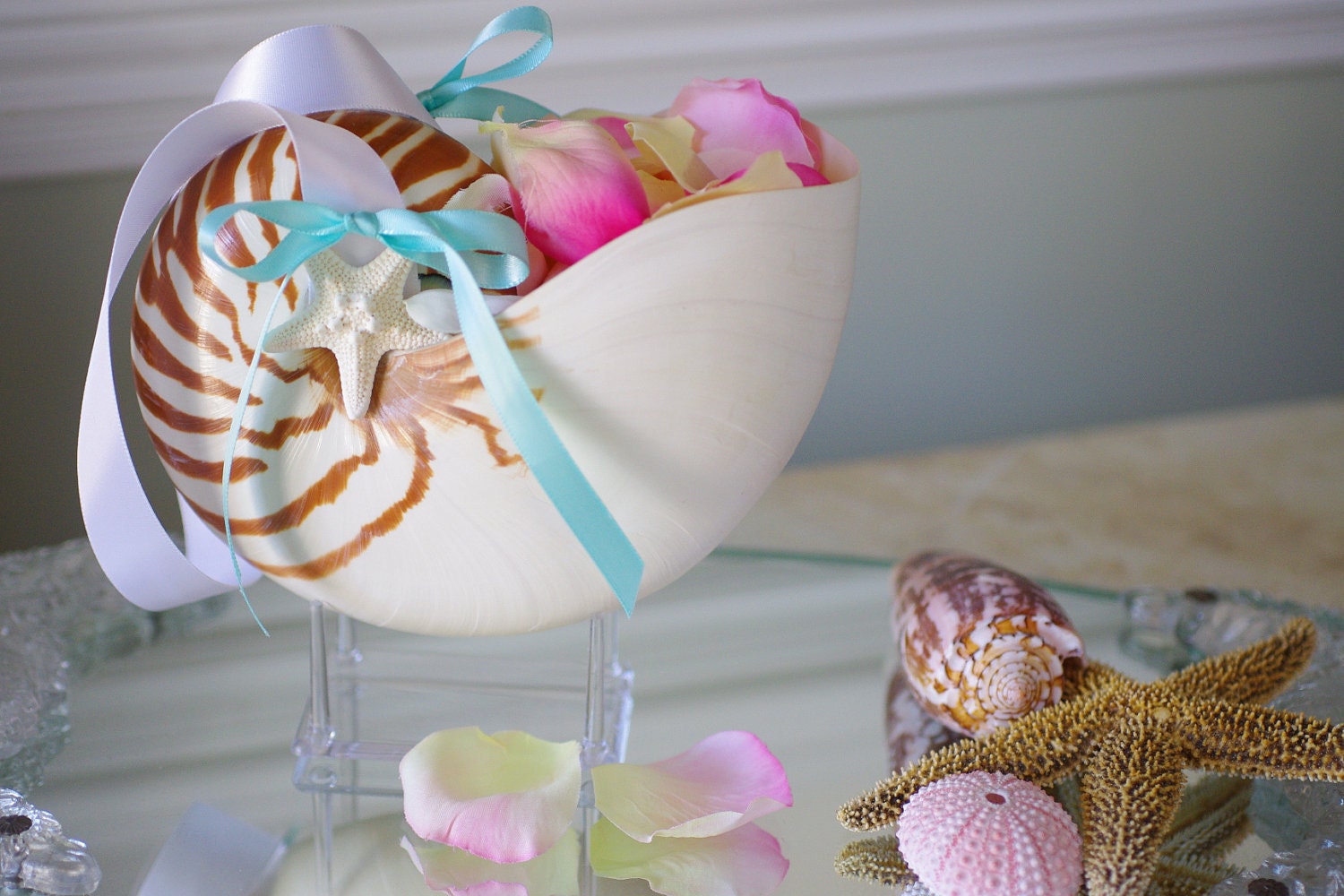 Beach Wedding Nautilus Shell Flower Girl Basket
