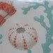 Beach Decor Coral and Seashell Pillow - 18x18 - Sea Foam and Coral