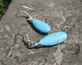 Magnesite Teardrop Earrings Silver Wrapped - Blue