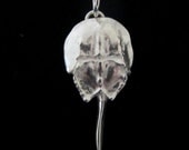 Horseshoe Crab Necklace (small)