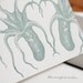 Let's tangle tentacles (a deep sea letterpress love note in a single card & envelope)