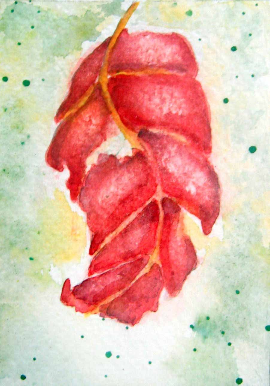 ACEO Autumn Limited Edition Giclee Print  Red  Leaf  Karen J. Kolnes