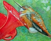 Set of 3 Sleeping Hummingbird Blank Greeting Cards