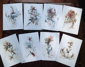 Pack of 8 Postcards 'Violence of Flowers'