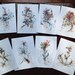 Pack of 8 Postcards 'Violence of Flowers'