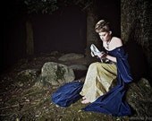 Cinderella dress