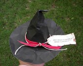 Wizard of Oz Witch Hat