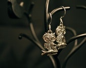 Owl Earrings