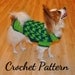 Crochet Pattern - Decorative Loop Crochet Small Dog Sweater, PDF Crochet Sweater Pattern C106