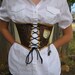 Steampunk Victorian Tech Industrial Chic underbust Corset/ Waist-cincher