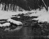 Winter Creek - 8 x 10 Photograph