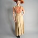 vintage 1910s edwardian dress / The Romantic