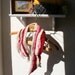 Bacon Neck Warmer