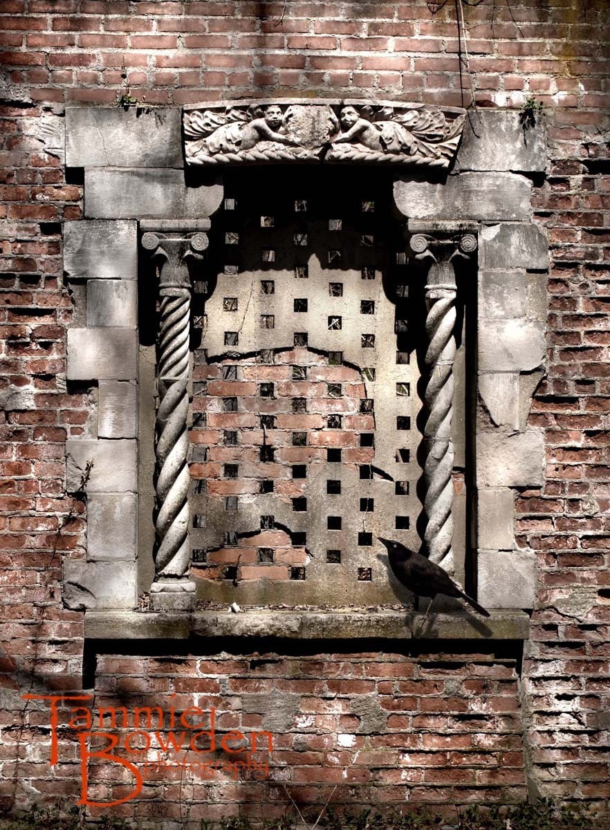 Abandoned Garden Window with Black Bird - Photo 8x10 - Secret Mansion Brick Muted Tones Grey Blush Pink Columns Classic Architecture - TammieBowdenPhoto