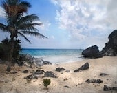 Tropical Paradise - Original Photograph 8x10 - Caribbean Sandy Shore Beach Home Cottage Wall Decor
