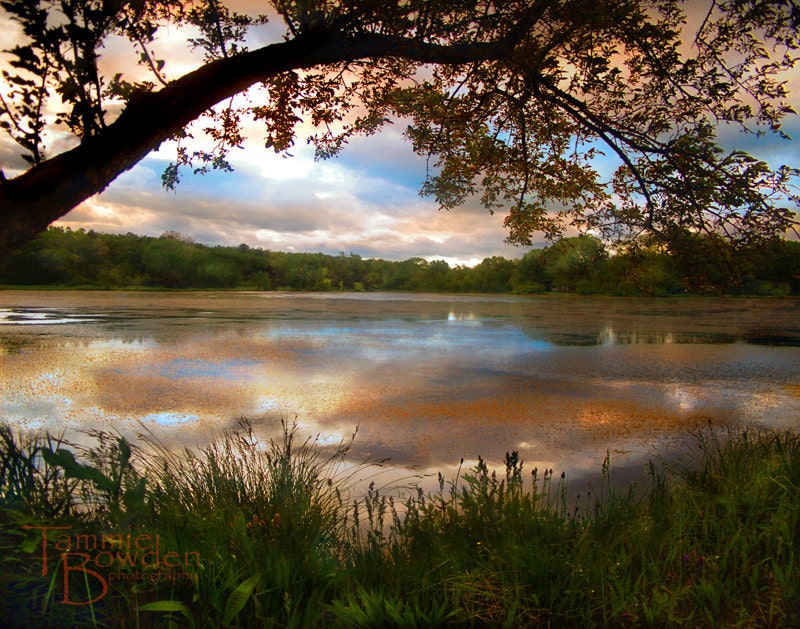 Sunset Over the Lake - Original Photograph 8x10 - Outdoors Nature Pond Colorful Autumn Fall Tree