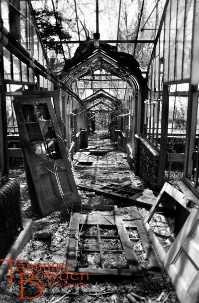 Abandoned Greenhouse - Original Photograph 11x14 - Muted Tones Titanium Grey Unique Moody Home Decor Wall Art