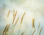 SALE 50% OFF - Nature Photograph - Baby Nursery - Baby Boy - Home Decor - Fine Art Photograph 8x8 - "Golden Slumber"
