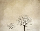 SALE 50% Off - Winter Wonderland - Tree Photography - Dreamy - Neutral - Baby Nursery - Home Decor - Fine Art Photograph
