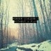 Nature Photograph, Quote Poster, Trees Woods, Open Road, Home Decor, Fine Art Photography - "Wander Aimlessly Without a Plan"